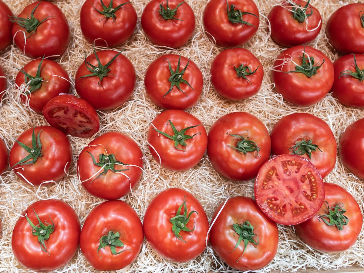 El mejor lugar para guardar los tomates: ni en la nevera ni en el frutero, ¿por qué?