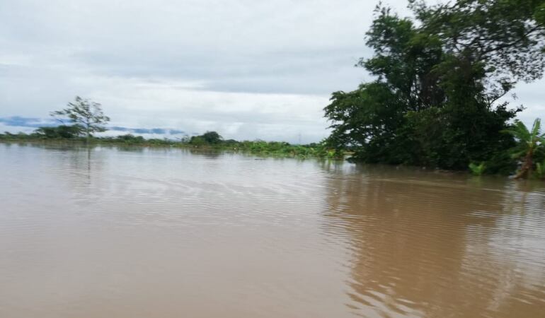 Hectáreas de Arroz.