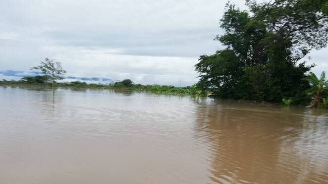 Hectáreas de Arroz.