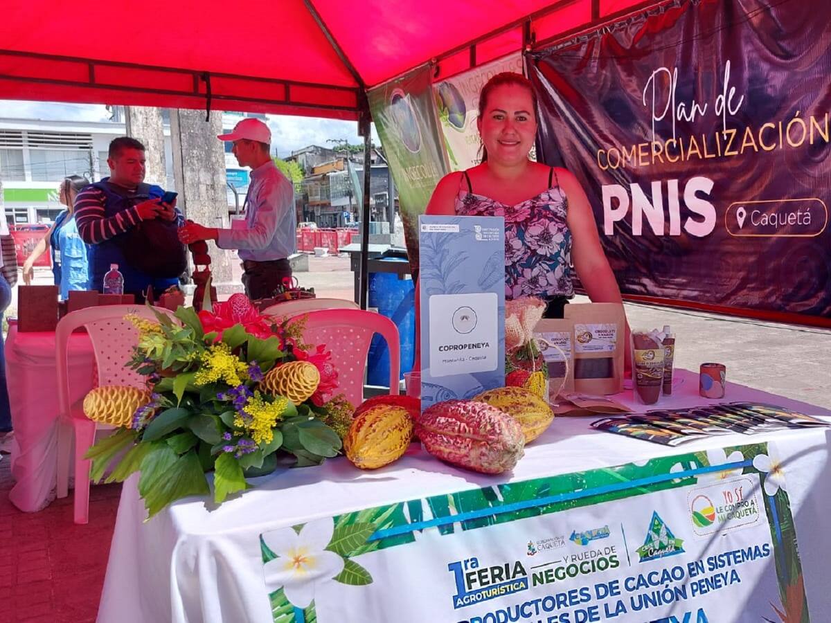 Campesinos en Caquetá sustituyen cultivos ilícitos