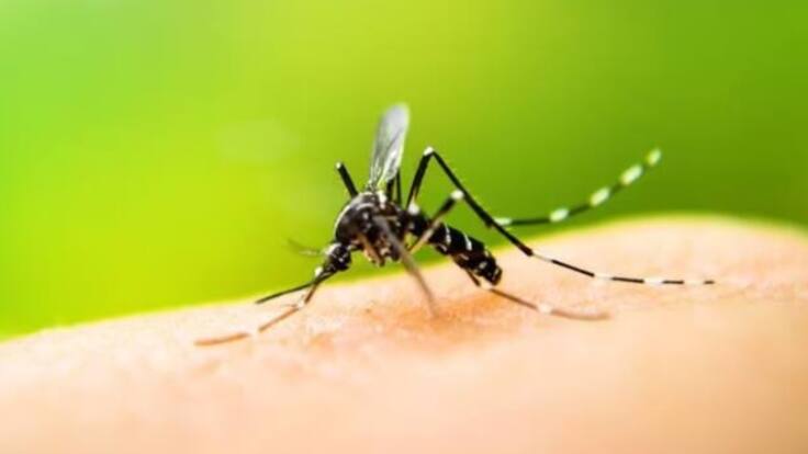 Secretario de Salud, Carlos Gómez