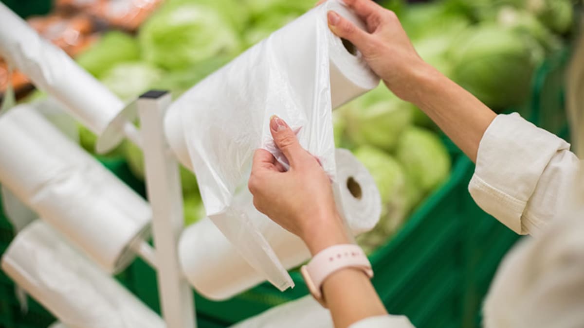 Diana Palta, líder del grupo de Gestión Integral de Residuos Sólidos del Dagma