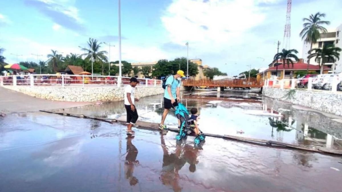 ABC de por qué la Essmar ocasionaría un “desastre ambiental” en Santa Marta