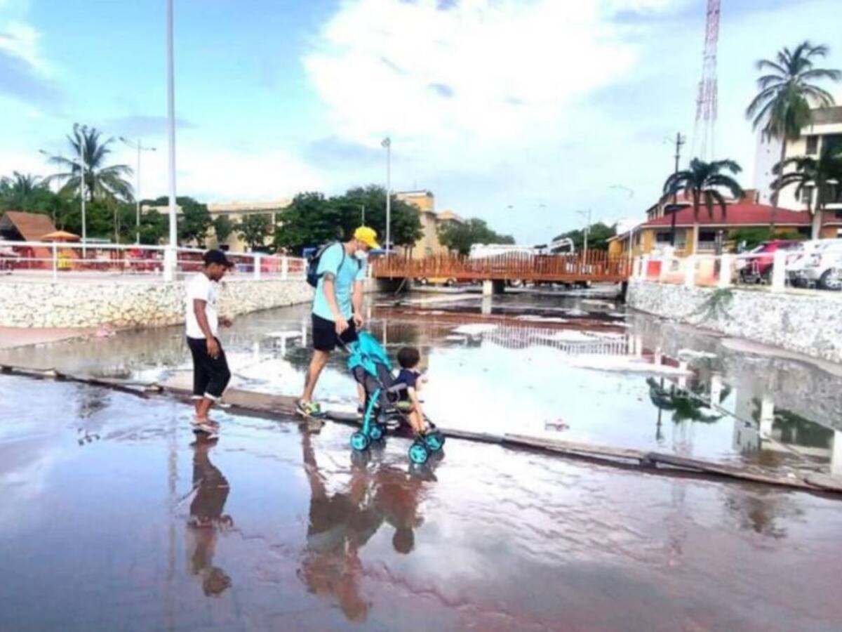 ABC de por qué la Essmar ocasionaría un “desastre ambiental” en Santa Marta