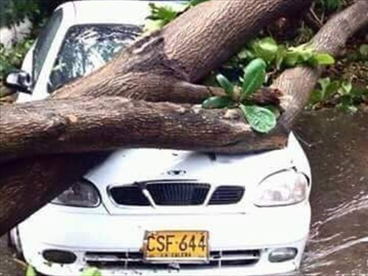 Valledupar se repone de daños por vendaval