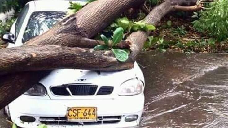 Valledupar se repone de daños por vendaval