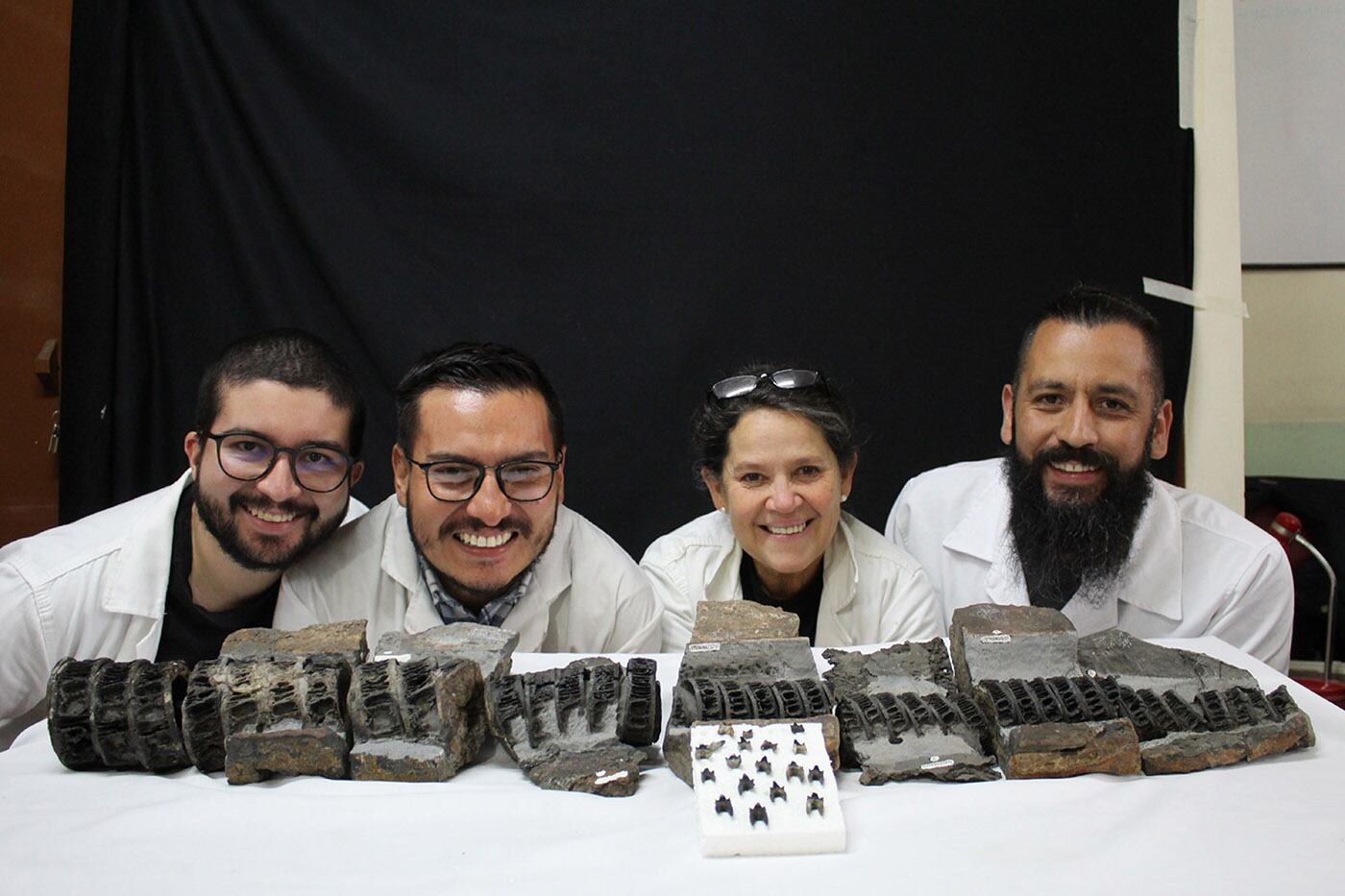 Este es el equipo de trabajo que identificó el fósil de tiburón gigante / Foto: Cristian David Benavides Cabra, magíster en Geología de la UNAL.