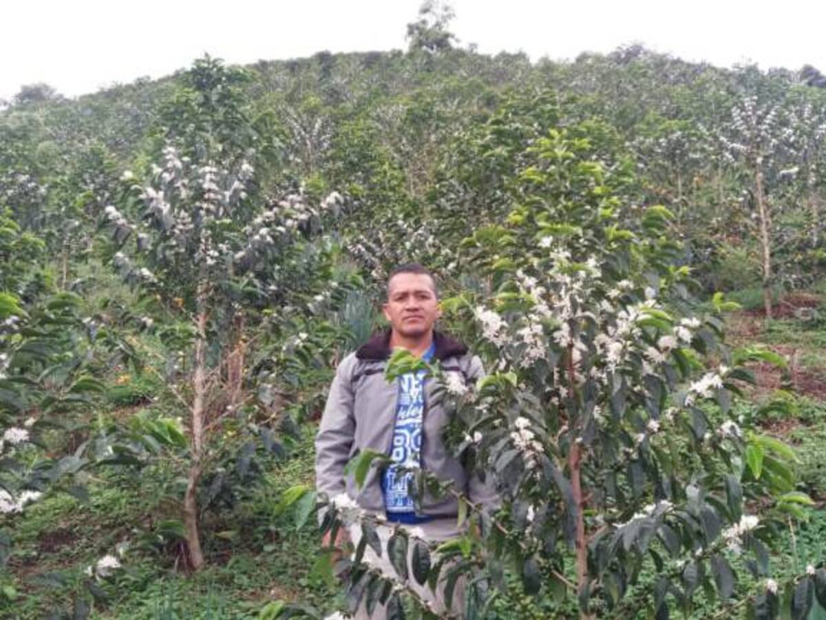 Desde Inzá, Cauca, café con sabor a paz