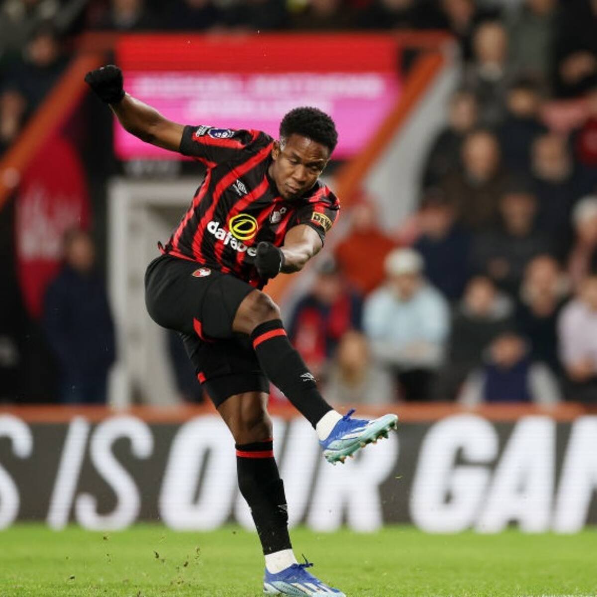 Técnico del Bournemouth sobre Sinisterra: “Es uno de nuestros mejores extremos”