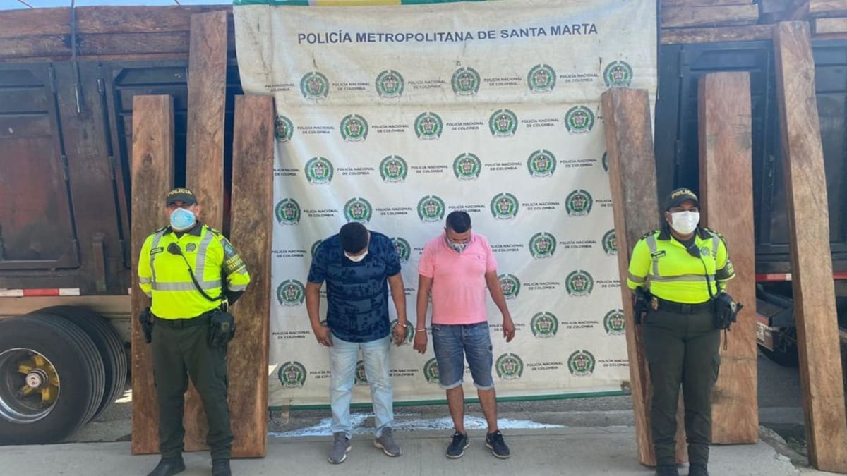 Autoridades de Santa Marta luchan contra el tráfico ilegal de madera