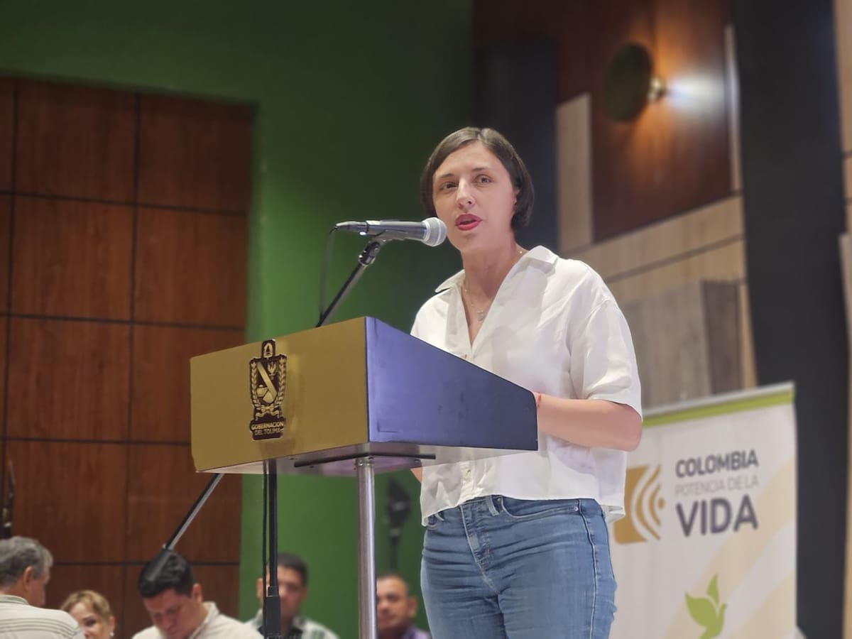 ¿Subirá el precio del arroz? Esto responde la Ministra de Agricultura