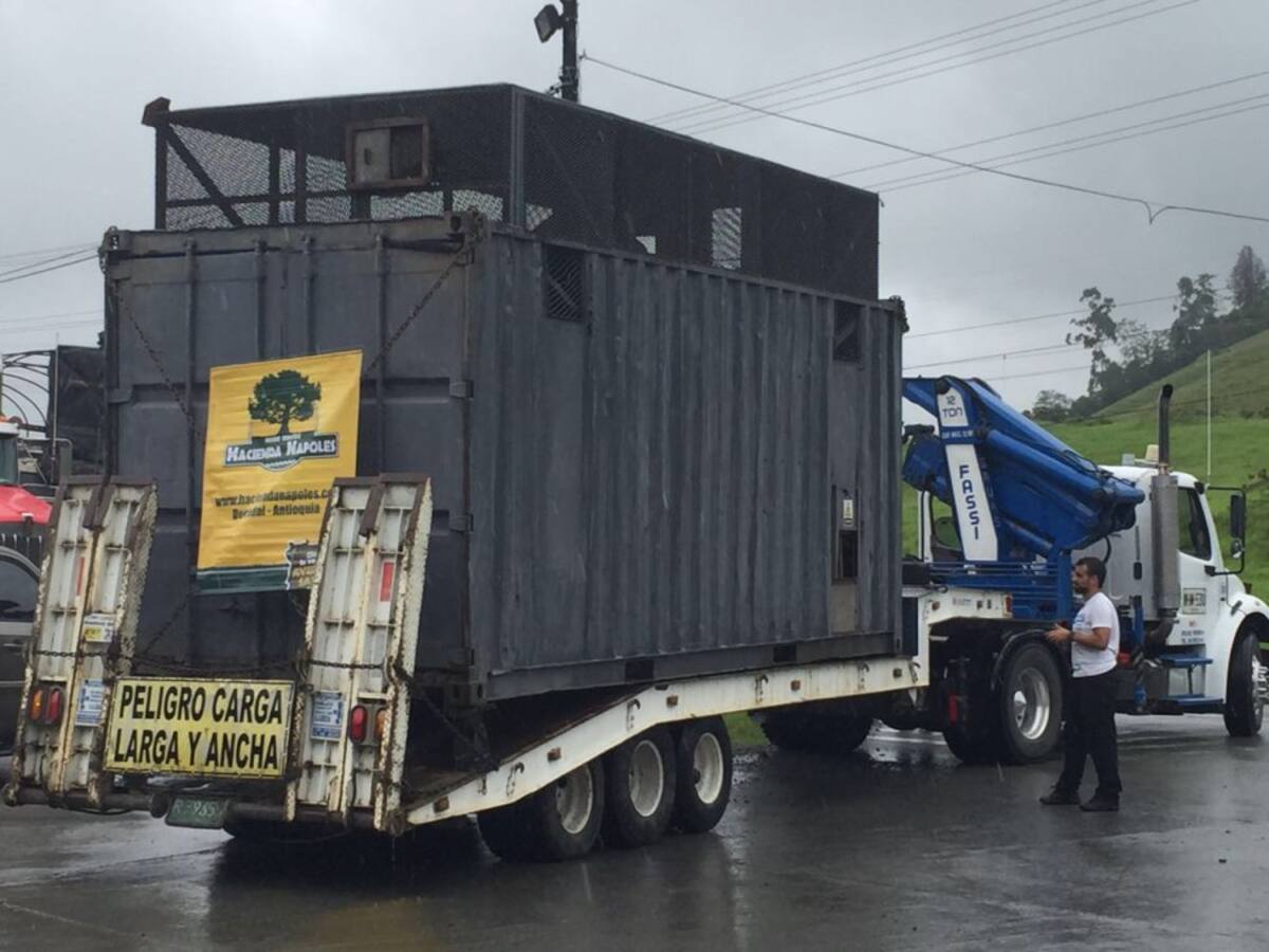 Pasó por todos los climas propios del recorrido, sin presentar signos de estrés.