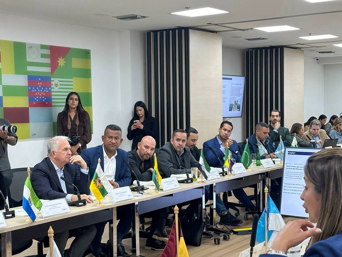 Gobernadores advierten que emergencia económica pone en riesgo rentas y autonomía departamental