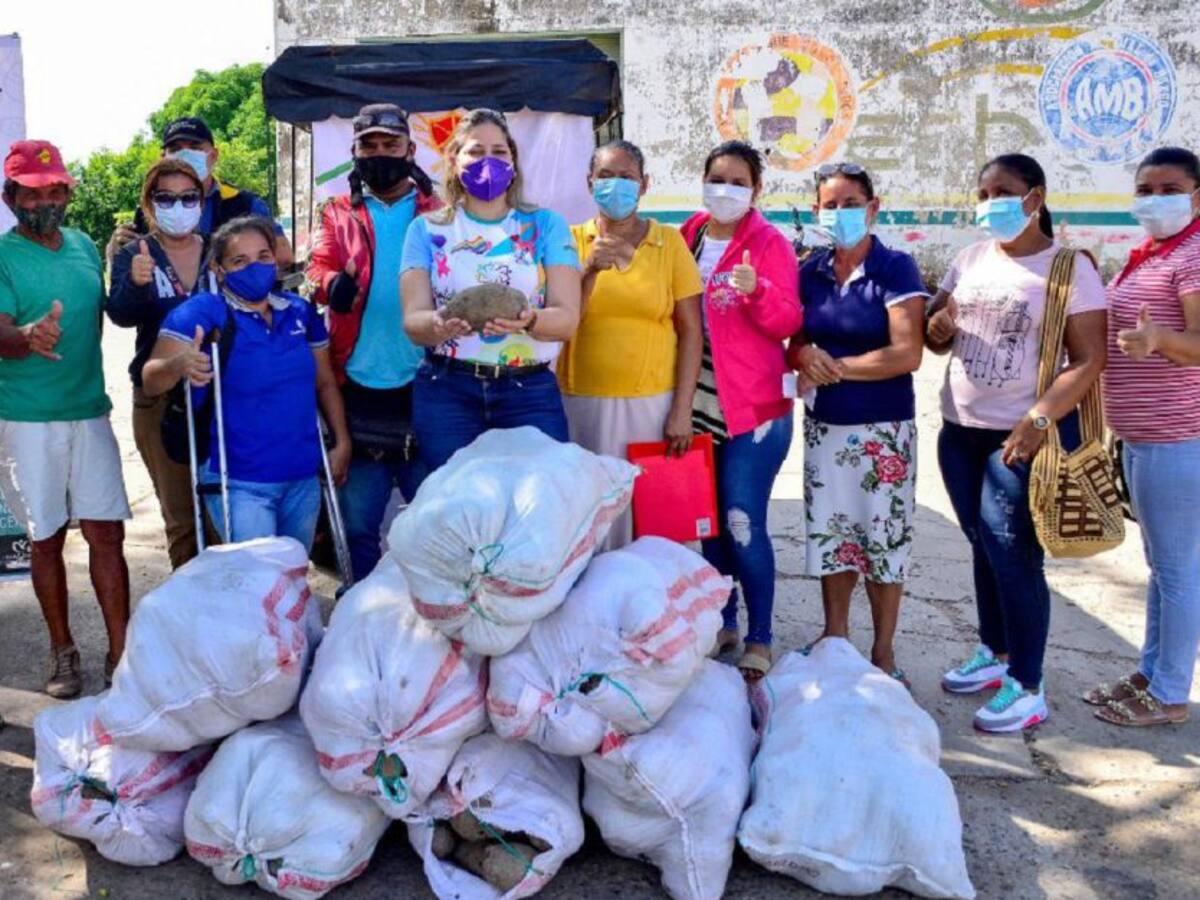 Gobernación de Bolívar donó siete toneladas de ñame a familias de Magangué