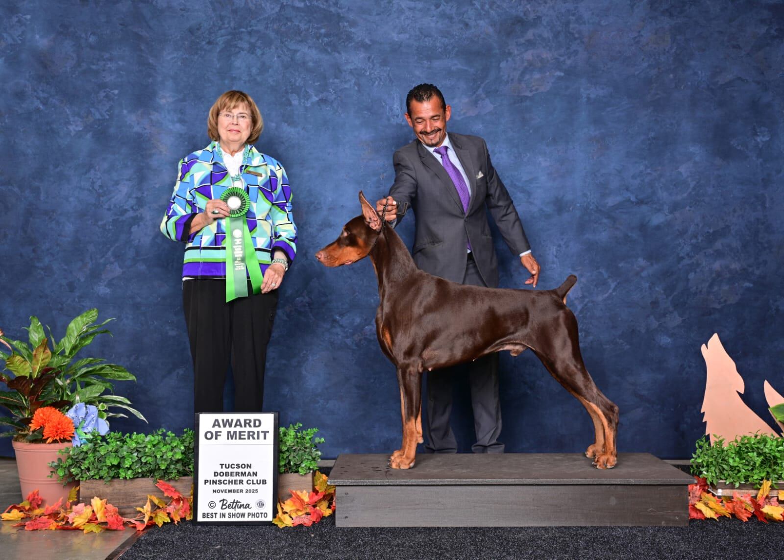 Trayectoria sostenida en un sistema competitivo con evaluaciones constantes