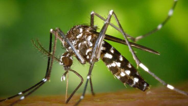 Alejandro Gaviria, Ministro de Salud y Protección Social
