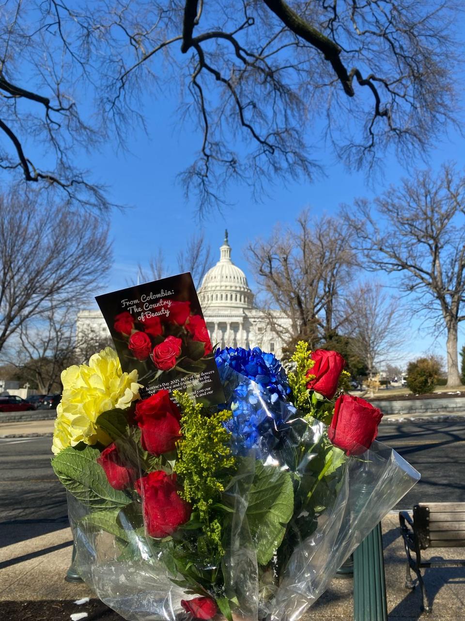 Flores colombianas adornan las oficinas del Capitolio de EE.UU. en San Valentín