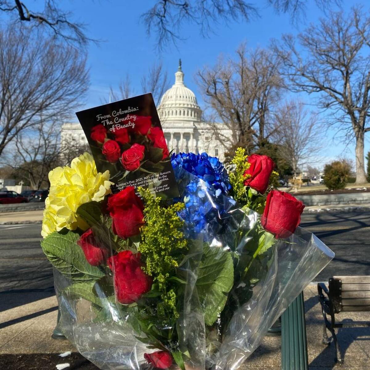 Flores colombianas adornan las oficinas del Capitolio de EE.UU. en San Valentín