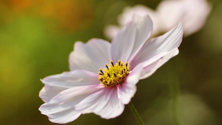 El agradecimiento en tiempos difíciles