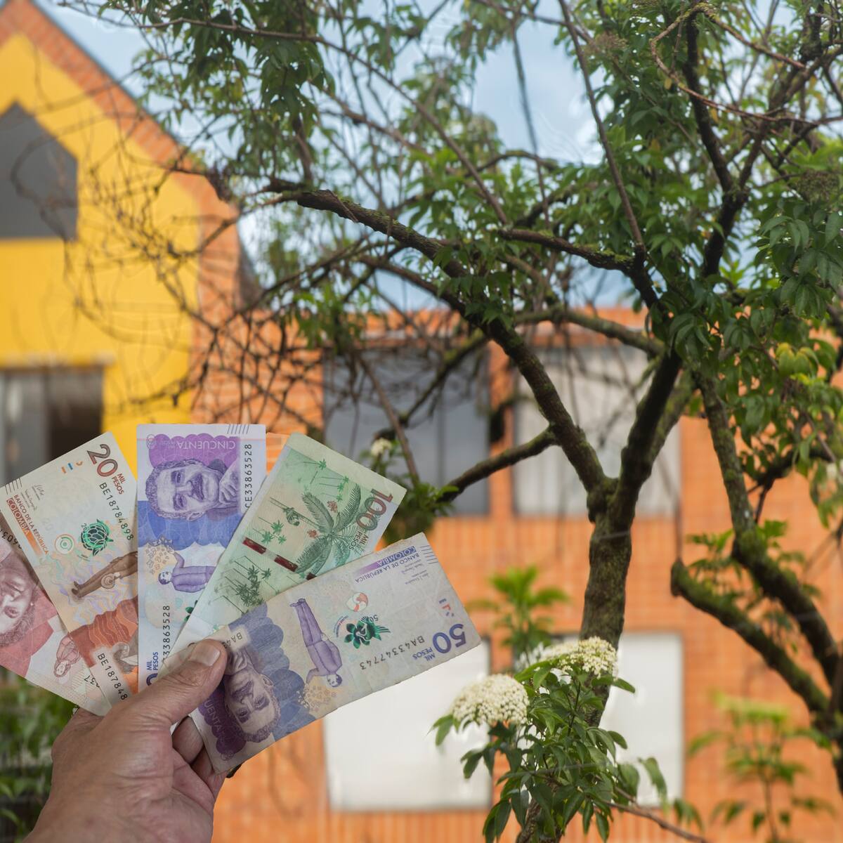 Embargo de vivienda de interés social (VIS): ¿En qué casos NO se puede confiscar? Entérese