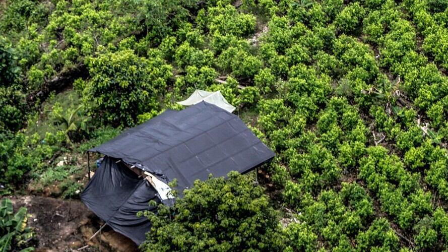 En la madrugada del 18 de febrero de 2010 Wilmer caminaba por un sendero en el Cauca cuando pisó una mina puesta por los grupos armados en la zona/ Imagen de referencia. Foto: Colprensa.