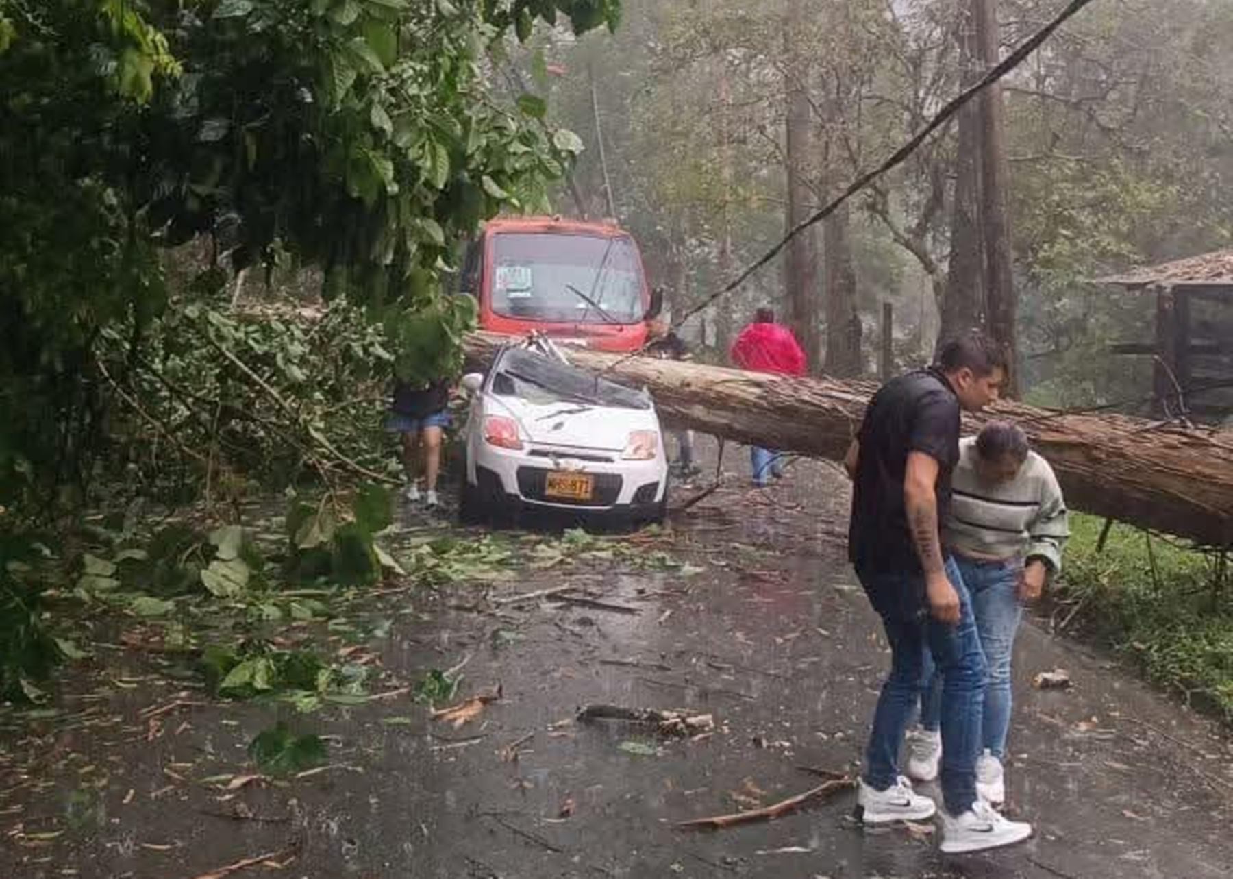 Emergencia en el Cañón del Combeima de Ibagué