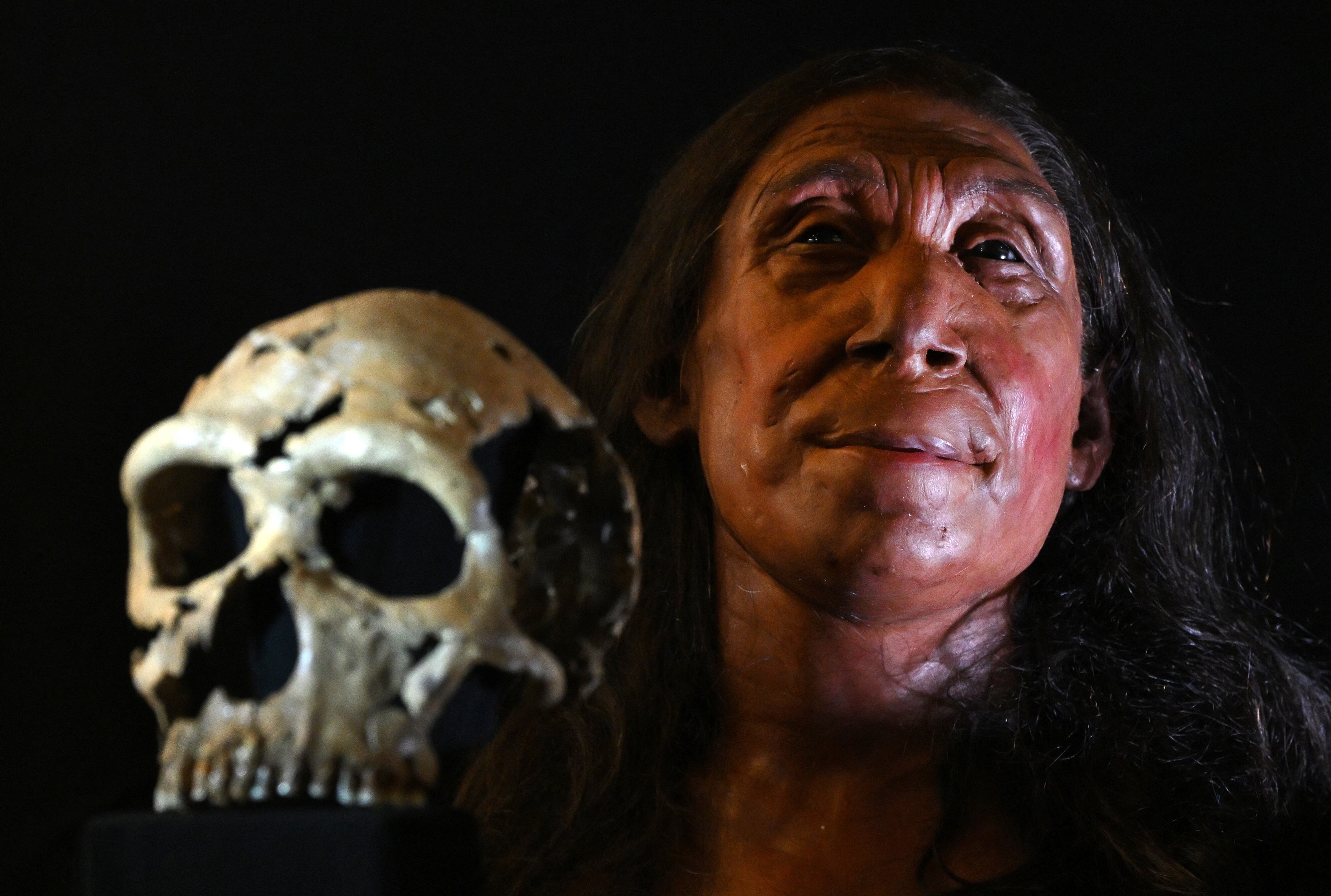 Así sería el rostro de una mujer neandertal que vivió hace más de 75.000 años (Photo by JUSTIN TALLIS/AFP via Getty Images)
