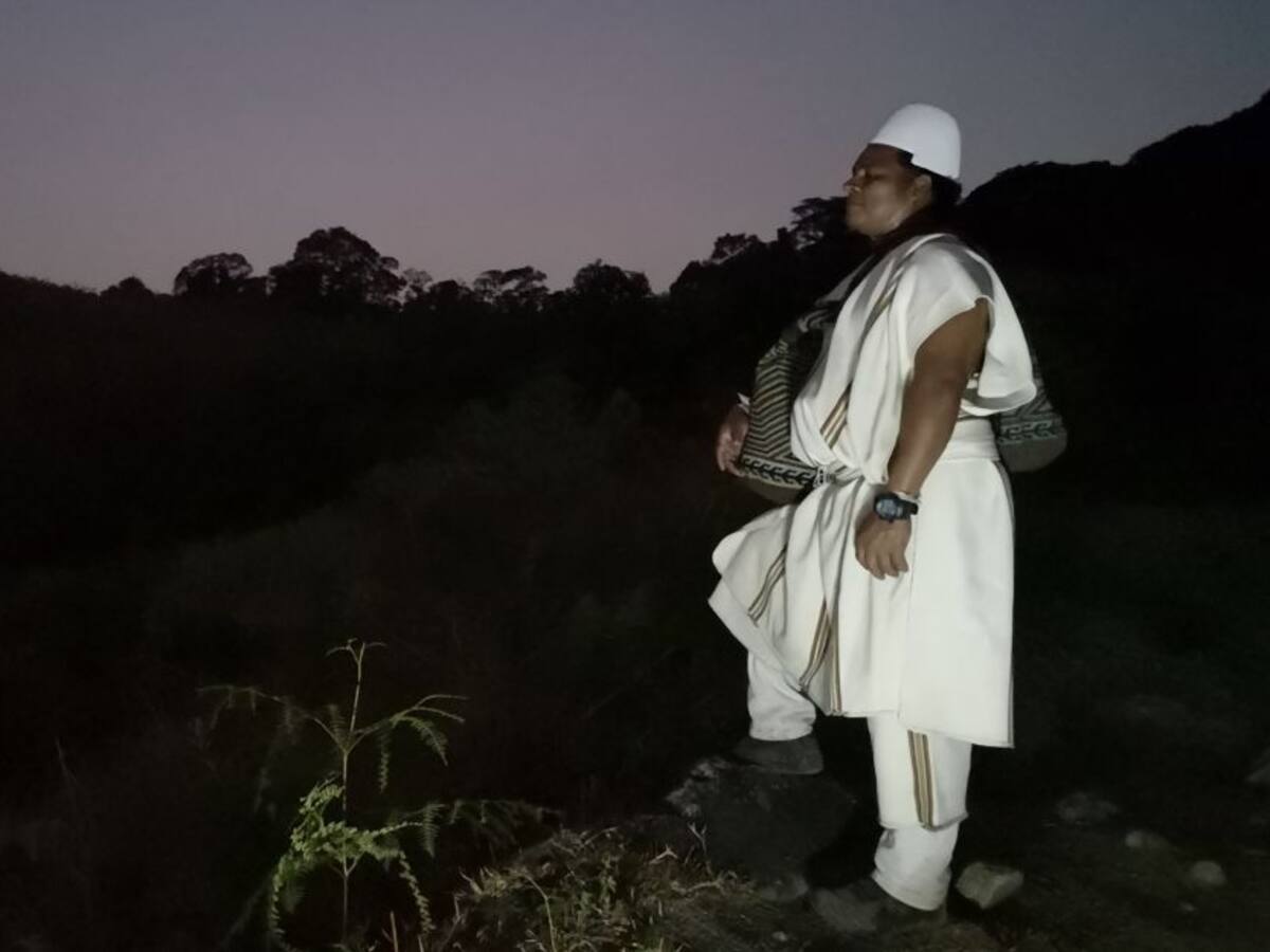 Entre lo ancestral y lo occidental: Las profesiones del pueblo kogui