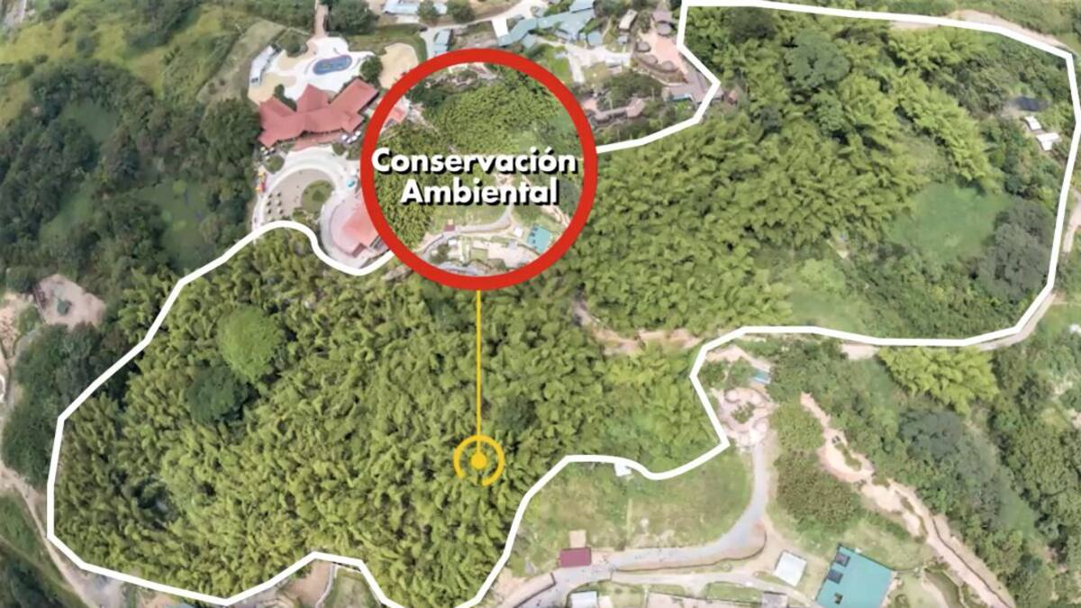 Más de 72 hectáreas en Pereira ayudarán a la conservación ambiental