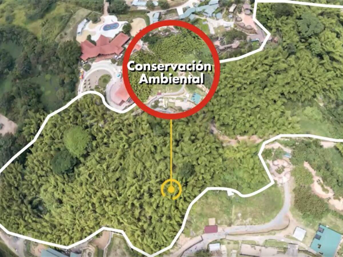 Más de 72 hectáreas en Pereira ayudarán a la conservación ambiental