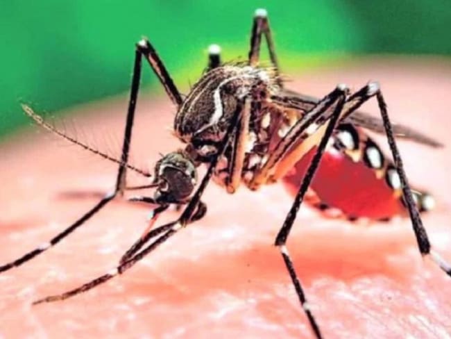Dos personas que fueron picadas por el zancudo y recibieron el dengue, respiraron de algún contagiado el COVID-19 y tuvieron de forma simultánea las dos enfermedades.