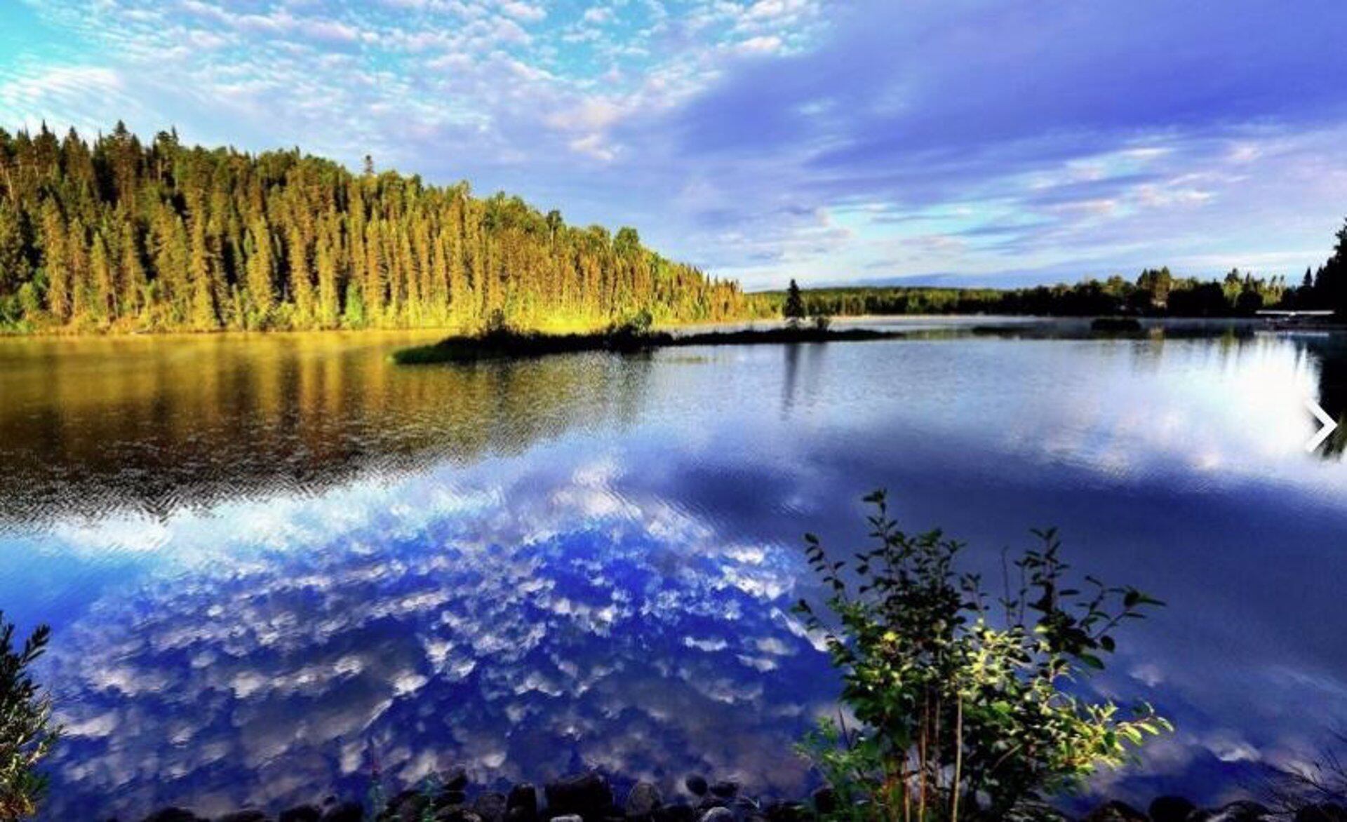 Un lago con aguas marcadamente azules en Nueva Zelanda - PIXNIO