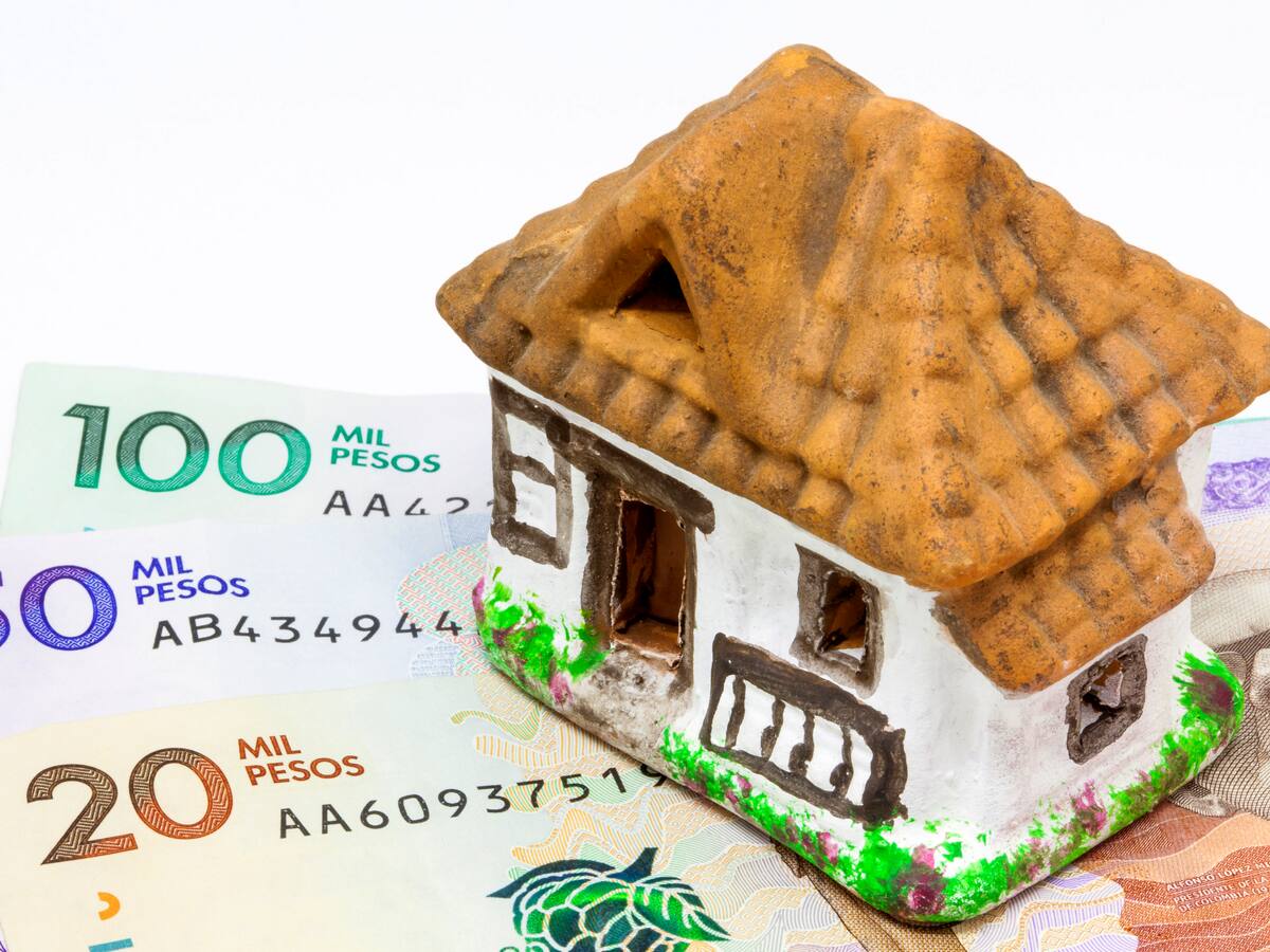 Consulte si es beneficiario descuento impuesto predial años anteriores 2024: paso a paso