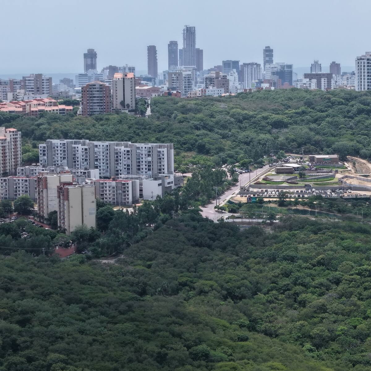 La ONU reconoce a Barranquilla como referente mundial en restauración ambiental