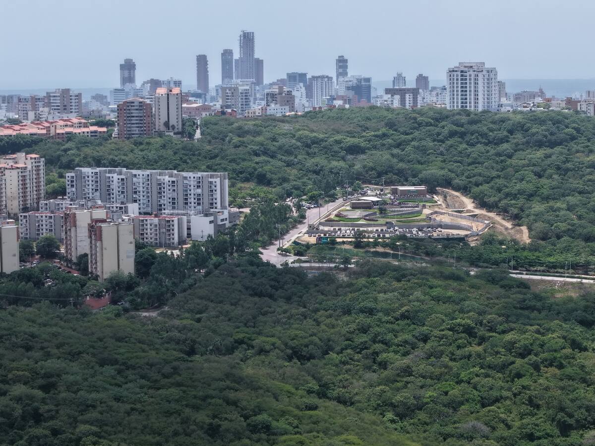 La ONU reconoce a Barranquilla como referente mundial en restauración ambiental