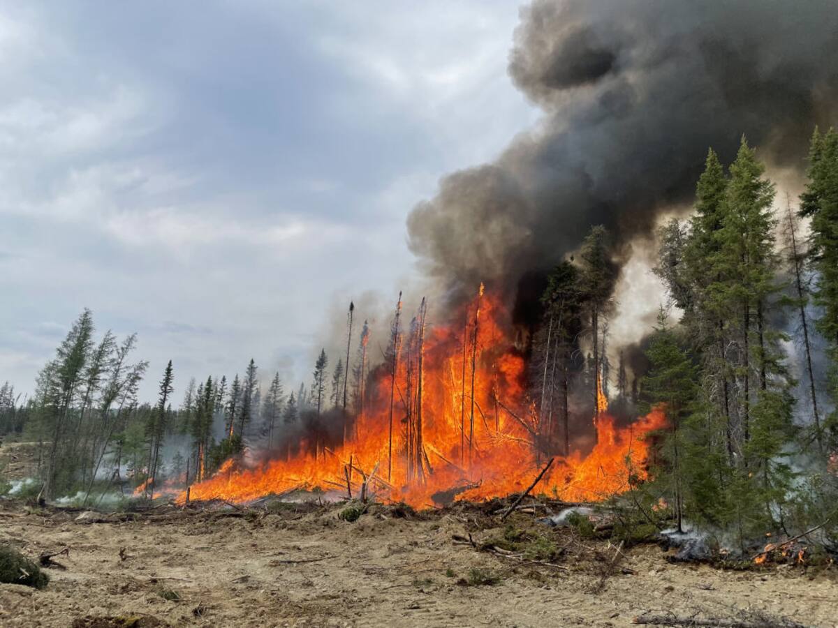 Incendios forestales en Canadá han quemado más de 10 millones de hectáreas durante 2023