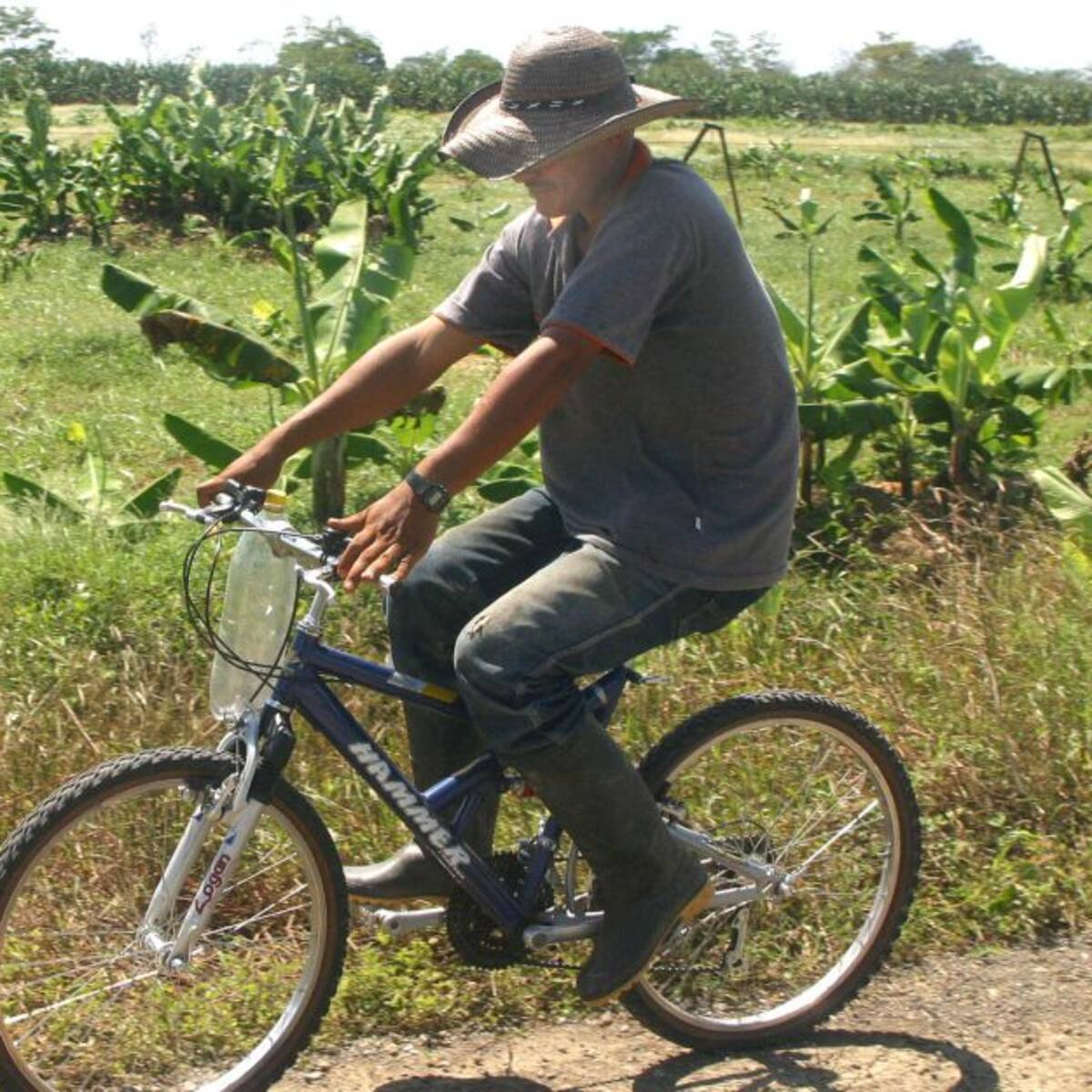Gobierno Nacional invita al Magdalena a unirse a “El Campo a un Clic”