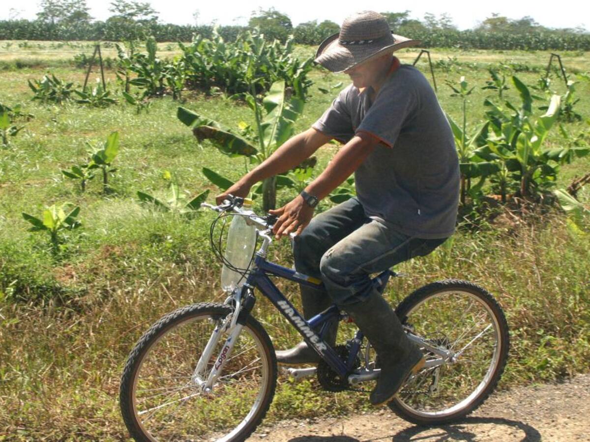 Gobierno Nacional invita al Magdalena a unirse a “El Campo a un Clic”