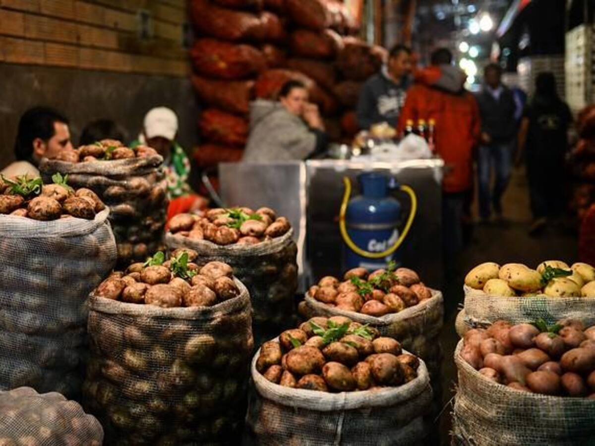 Cenabastos construirá bodegas para el comercio binacional