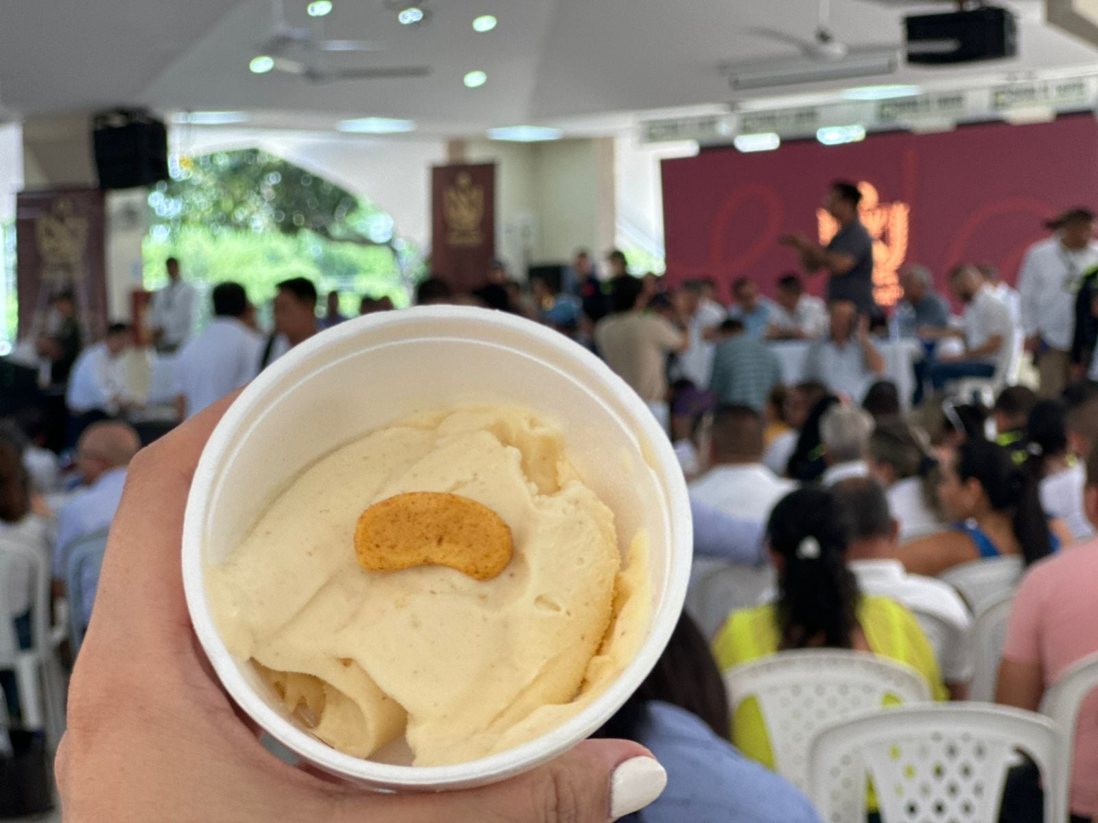 Helado de Achira Tolimense