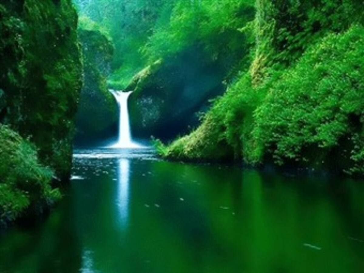 El cambio climático y el desarrollo amenazan la biodiversidad de Suramérica
