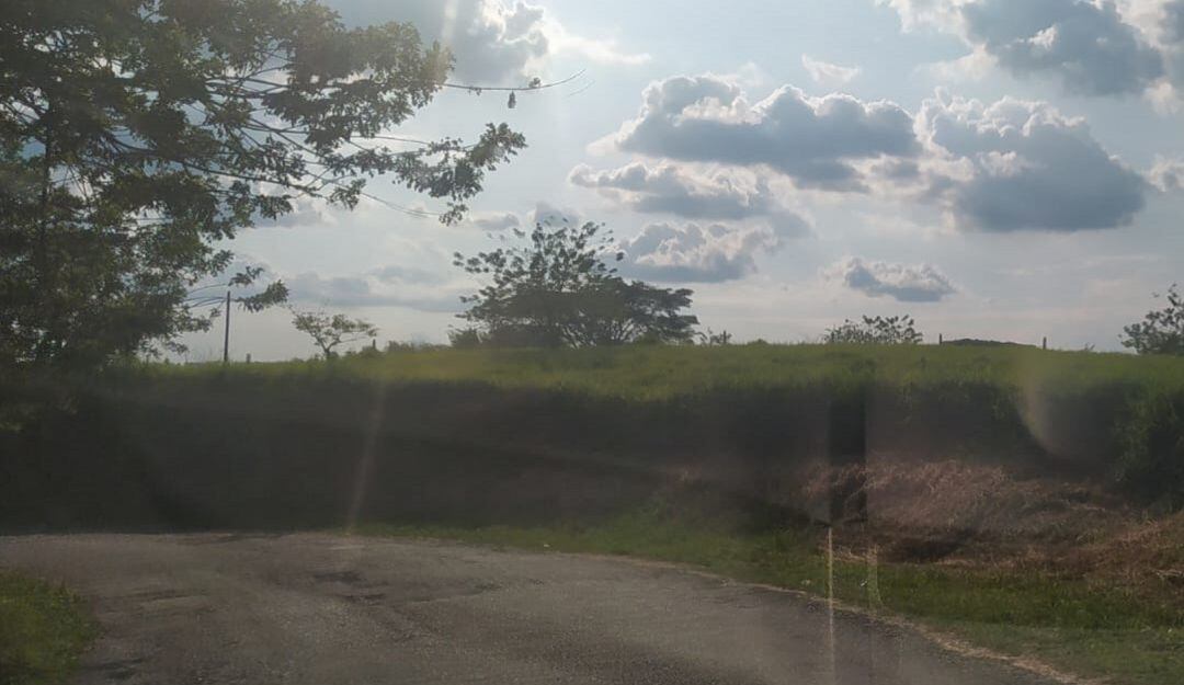 Vereda el Brillante en Montenegro