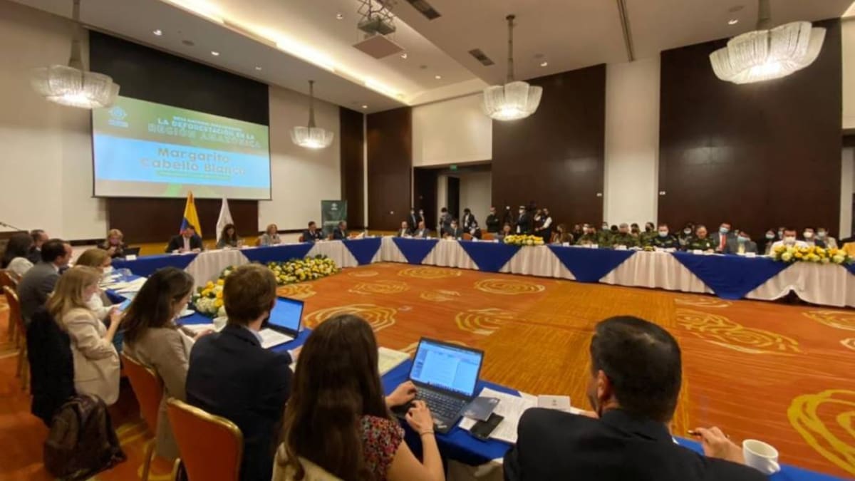 Se acuerda articulación de entidades para luchar contra la deforestación