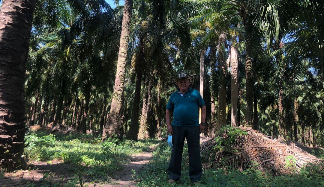 Marcos Arrieta, palmicultor de Maria La Baja