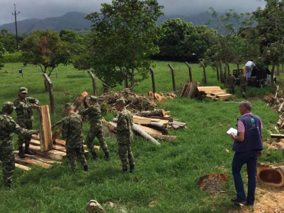 Se restringen permisos de aprovechamiento forestal en Risaralda