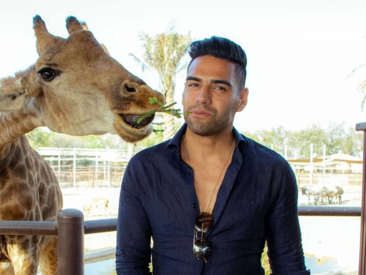 Fotos: 'El Tigre' se fue de safari con su familia en Dubái