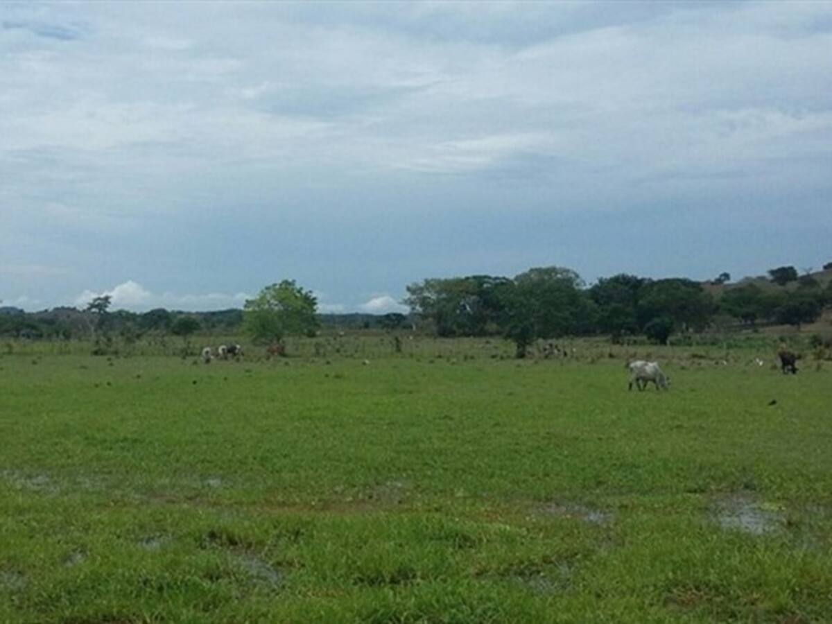 Lluvias habrían afectado procesos de restitución de tierras en Córdoba