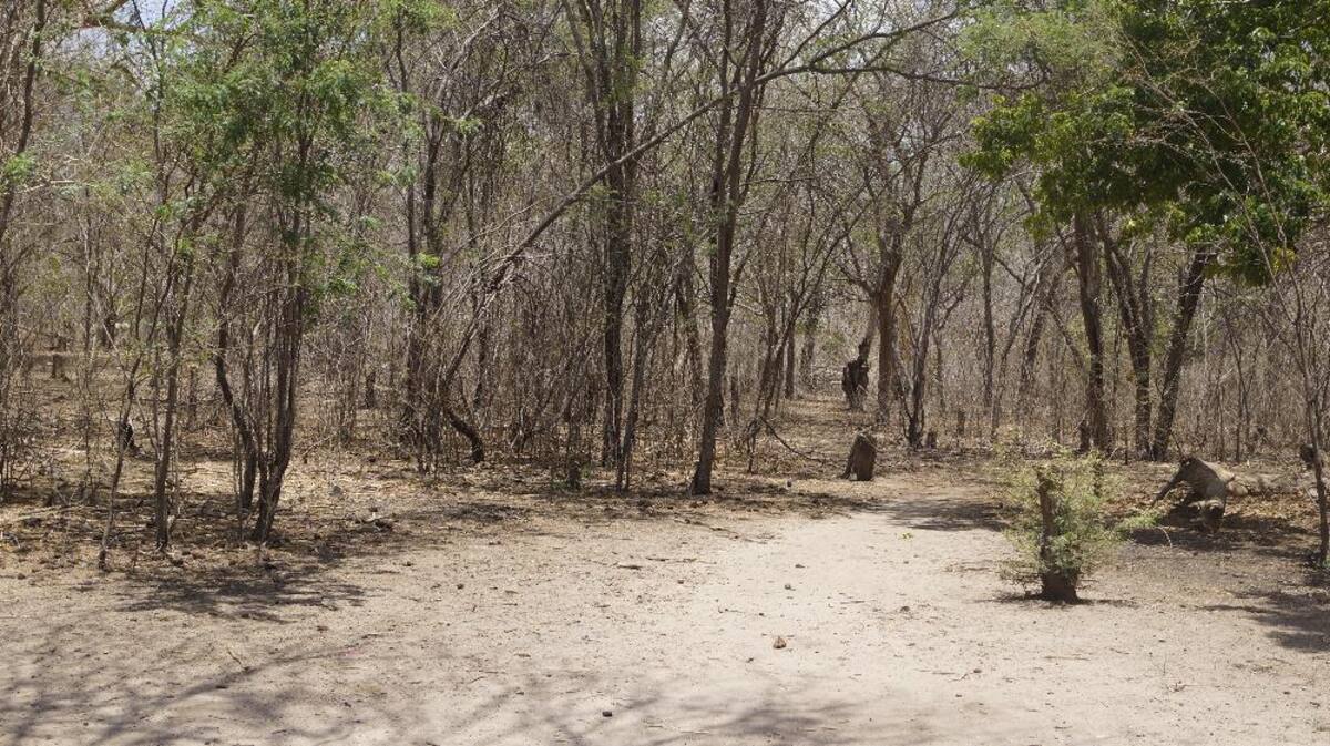Recorrido de Caracol Radio por las zonas que aguantan sed. Fotos de Luis Enrique Rodríguez