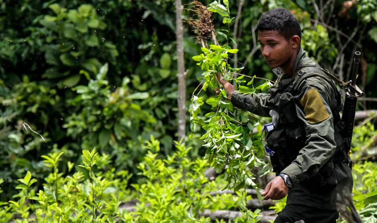 Imagen de referencia