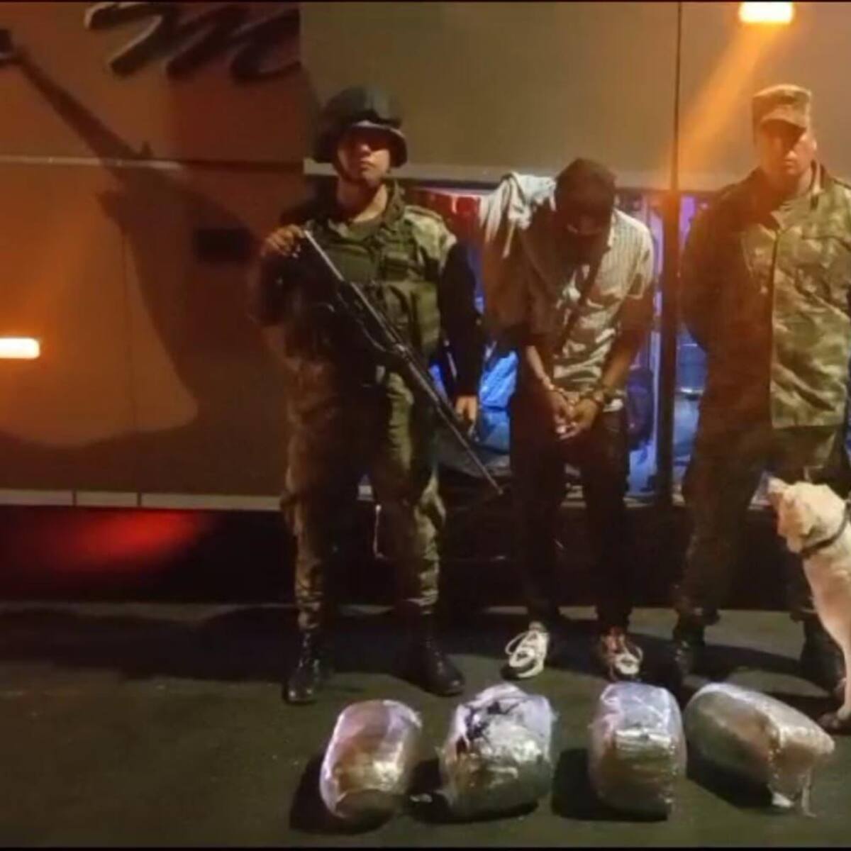 30 mil dosis de marihuana incautadas en La Línea con la ayuda de perros antinarcóticos